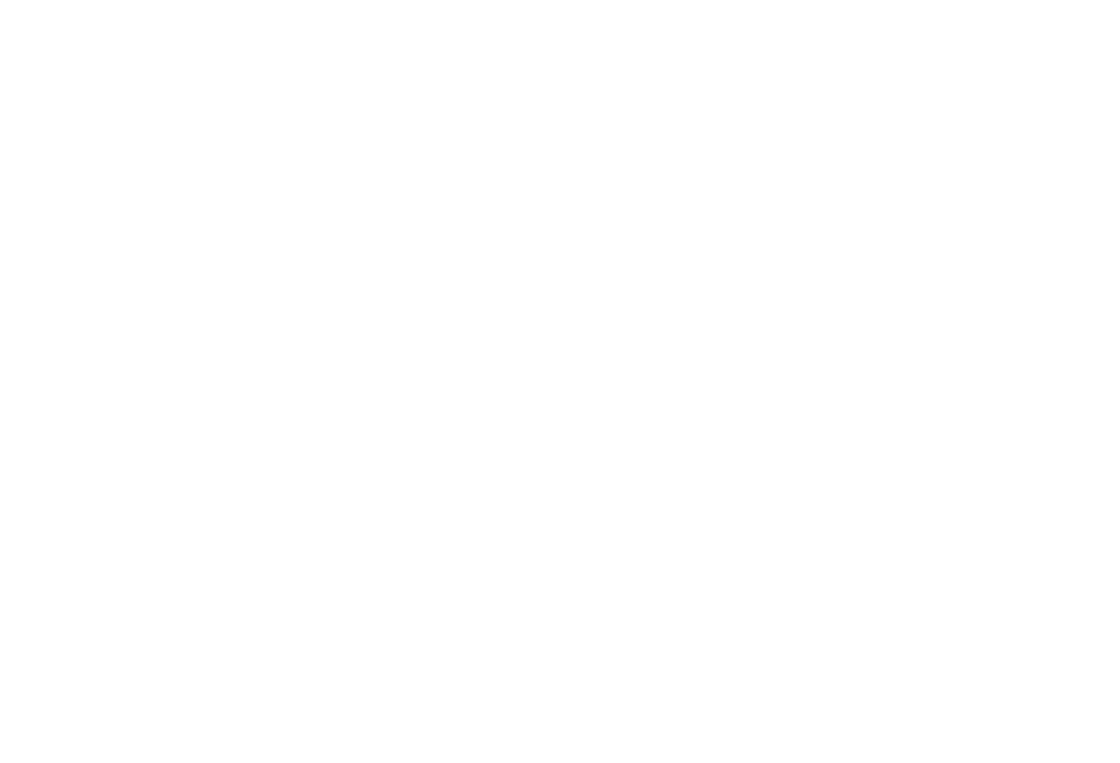Academy Ten Logo